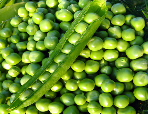 Frozen green peas